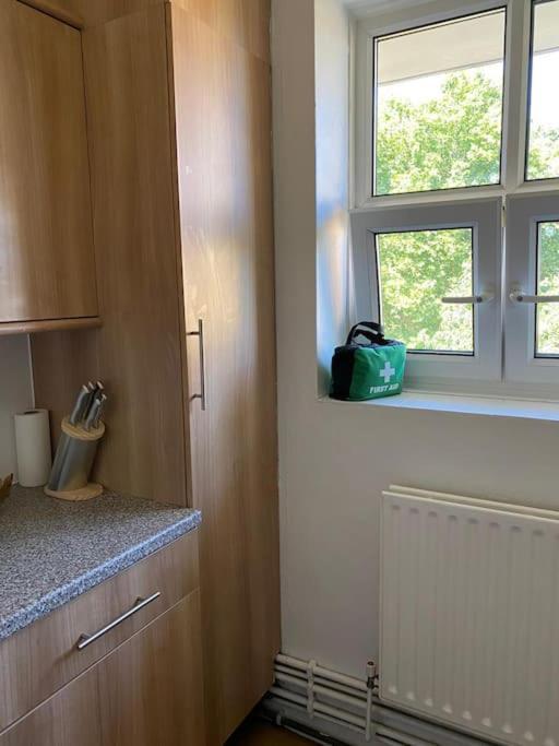Lovely 2 Bedroom Flat In Greater לונדון מראה חיצוני תמונה
